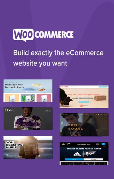 ecommerce website development cost